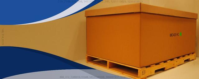 Contenedor de Cartón con Componentes Internos